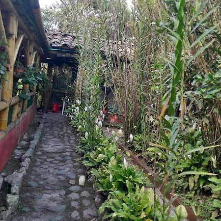 Finca La Divisa. Senderos De La Montana San Vicente  エクステリア 写真