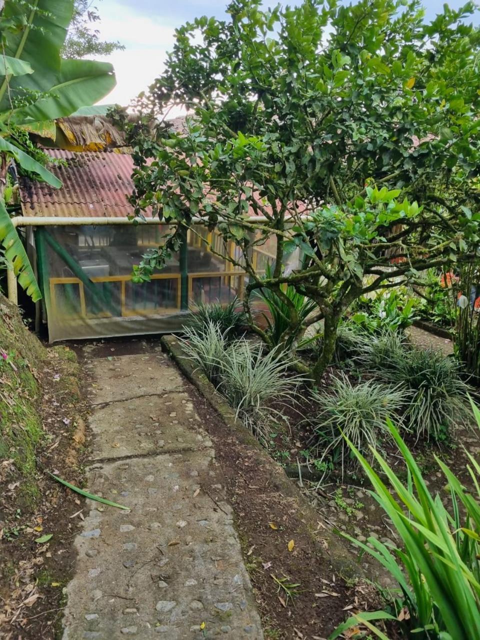 Finca La Divisa. Senderos De La Montana San Vicente  エクステリア 写真