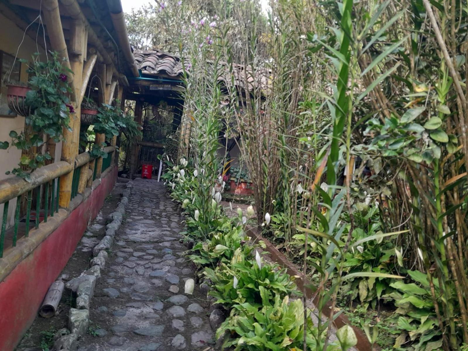 Finca La Divisa. Senderos De La Montana San Vicente  エクステリア 写真