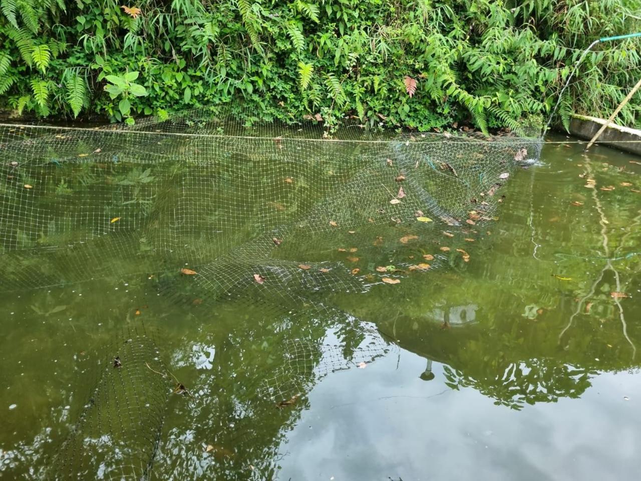 Finca La Divisa. Senderos De La Montana San Vicente  エクステリア 写真
