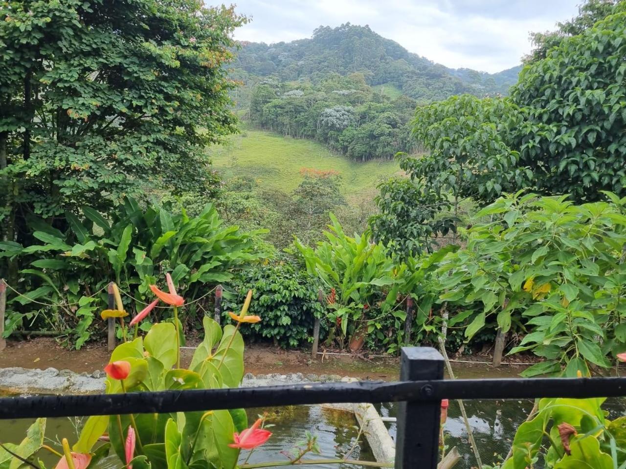Finca La Divisa. Senderos De La Montana San Vicente  エクステリア 写真