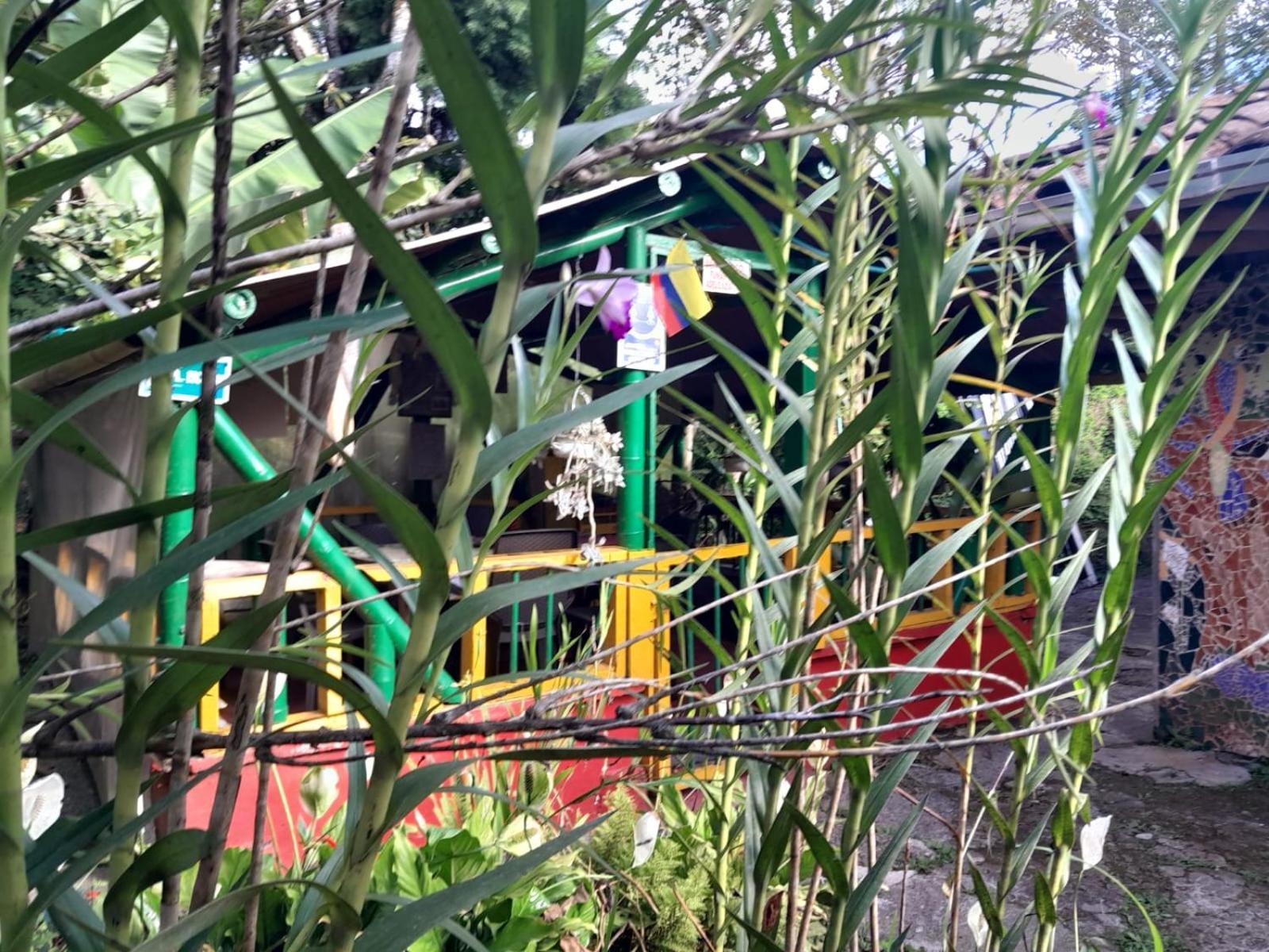 Finca La Divisa. Senderos De La Montana San Vicente  エクステリア 写真