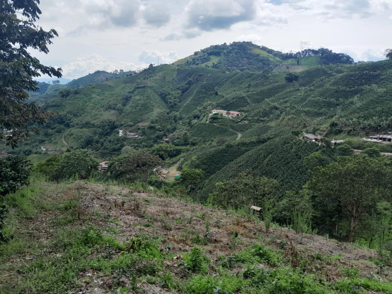 Finca La Divisa. Senderos De La Montana San Vicente  エクステリア 写真