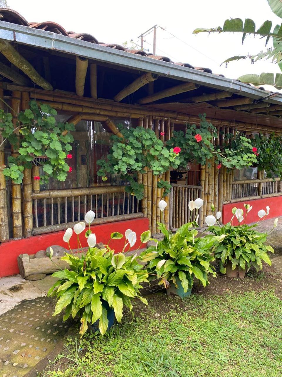 Finca La Divisa. Senderos De La Montana San Vicente  エクステリア 写真